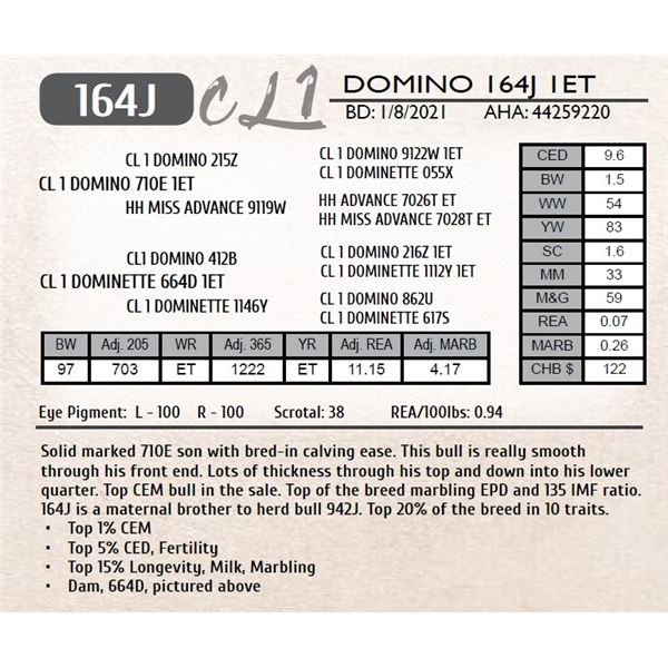 CL 1 DOMINO 164J 1ET