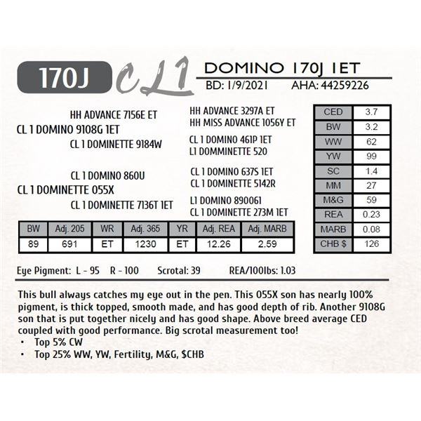 CL 1 DOMINO 170J 1ET