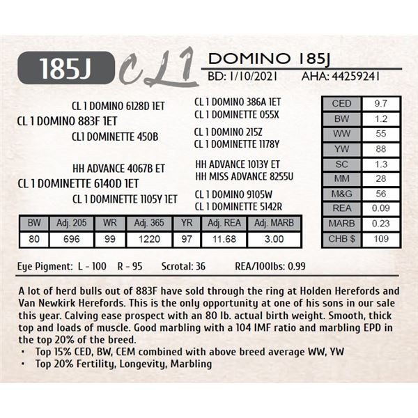 CL 1 DOMINO 185J