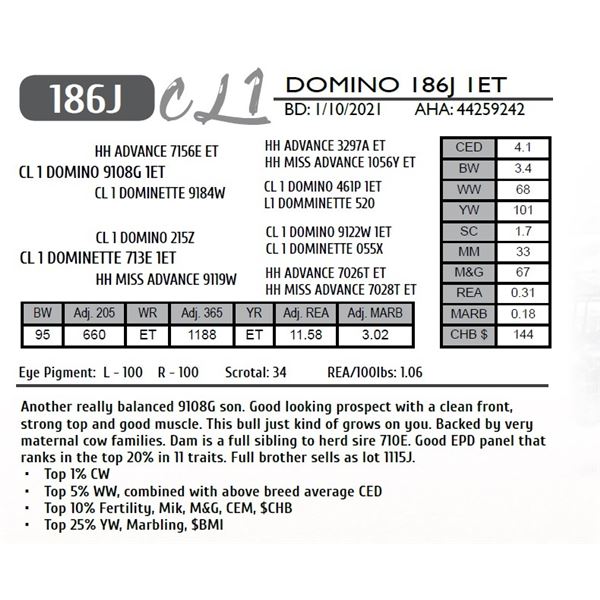 CL 1 DOMINO 186J 1ET