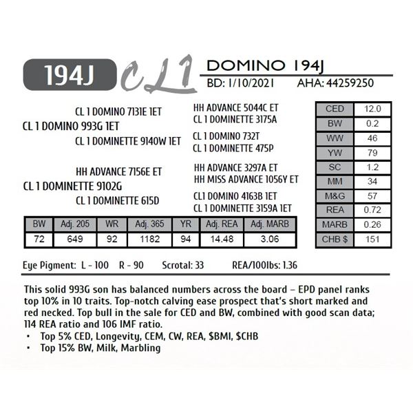 CL 1 DOMINO 194J