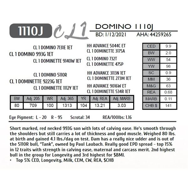 CL 1 DOMINO 1110J