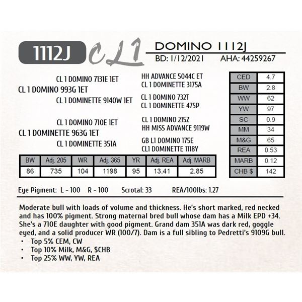 CL 1 DOMINO 1112J