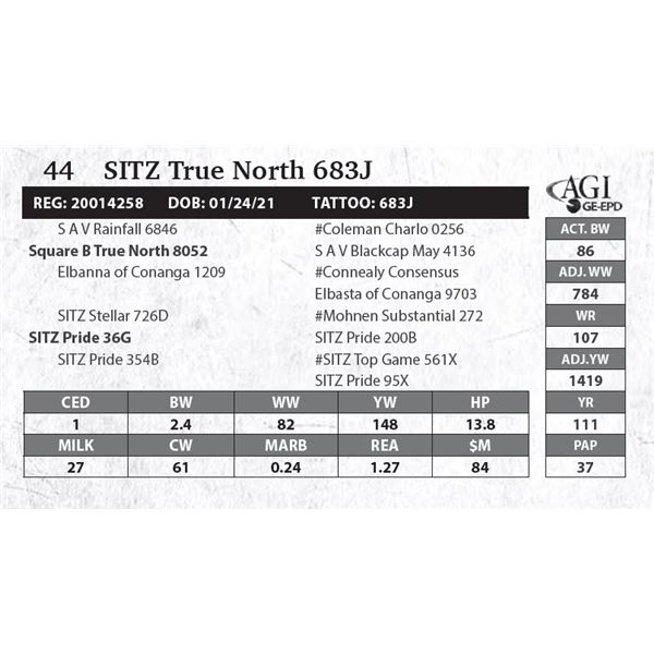 Sitz True North 683J