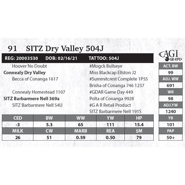 SITZ Dry Valley 504J