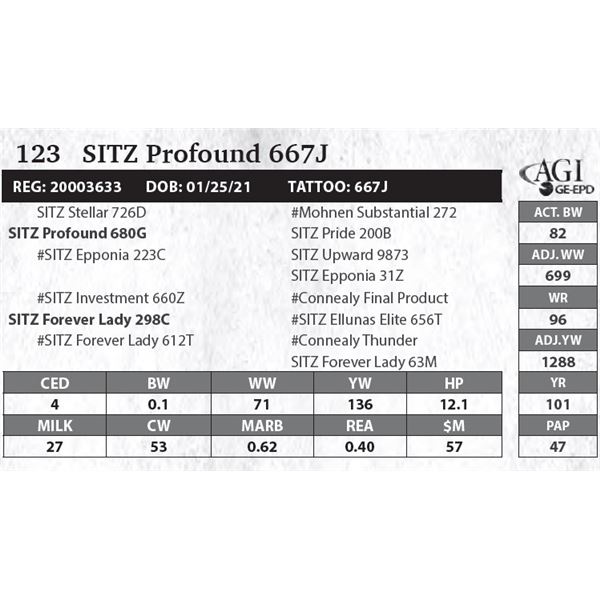 SITZ Profound 667J