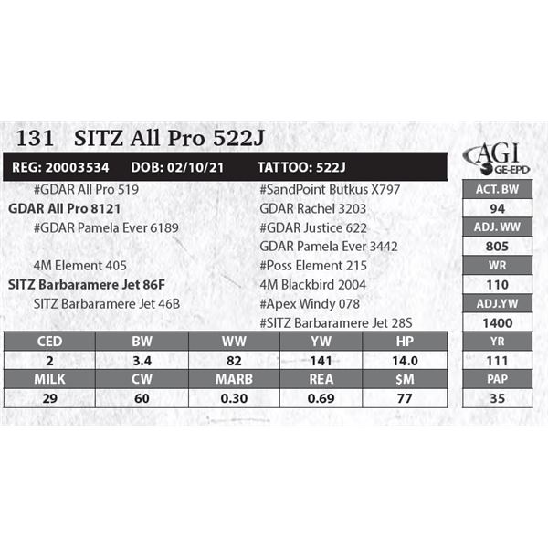 SITZ All Pro 522J