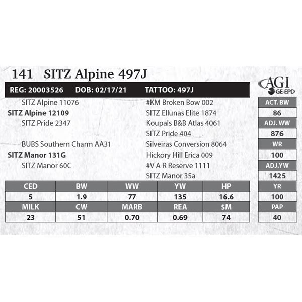 SITZ Alpine 497J