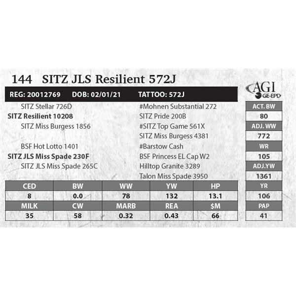 SITZ JLS Resilient 572J