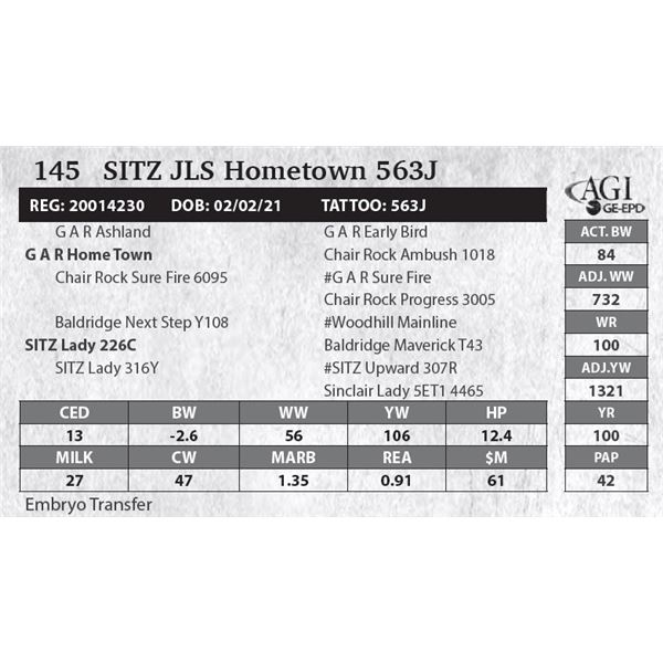 Sitz JLS Hometown 563J