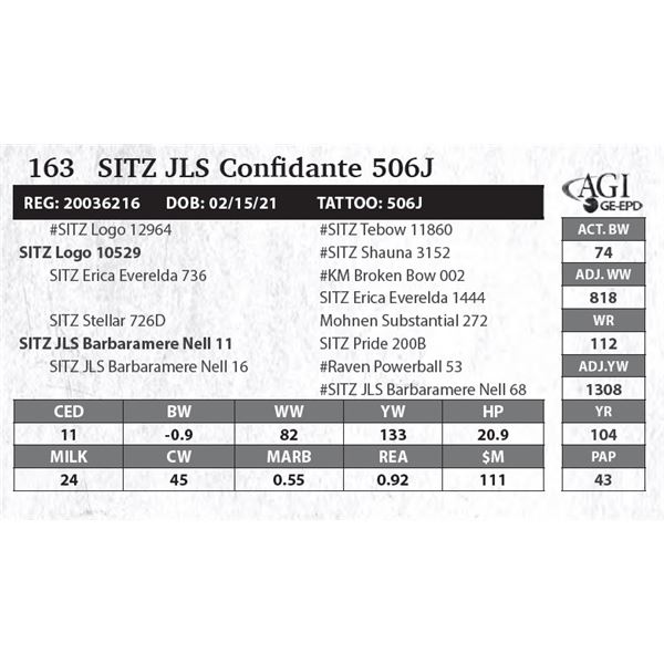 SITZ JLS Confidante 506J