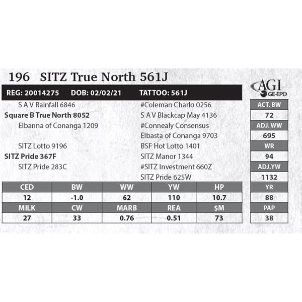 Sitz True North 561J