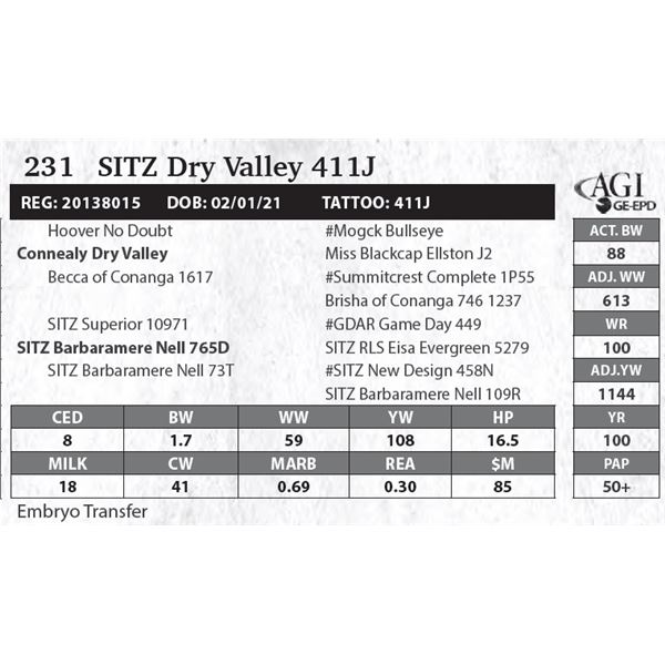 SITZ Dry Valley 411J