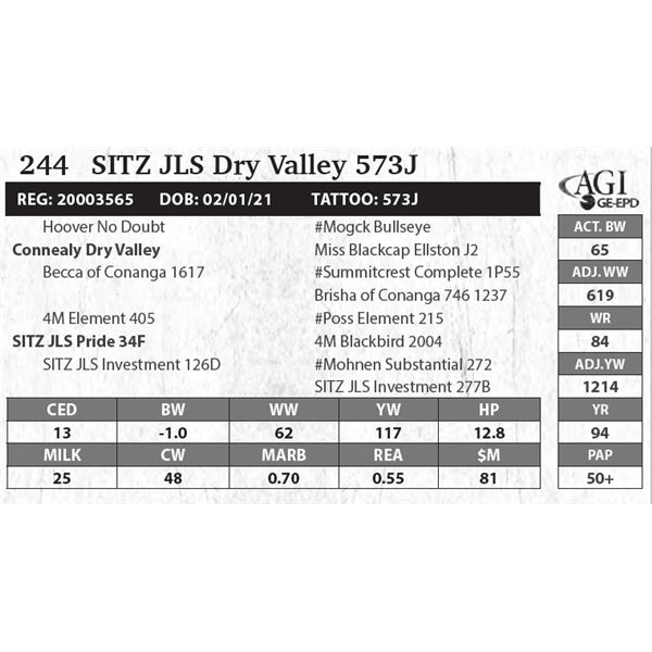 SITZ JLS Dry Valley 573J