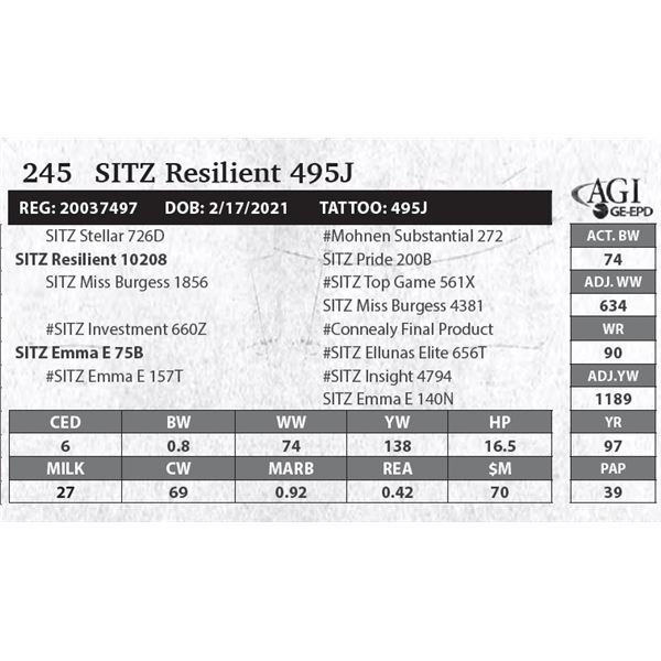 Sitz Resilient 495J