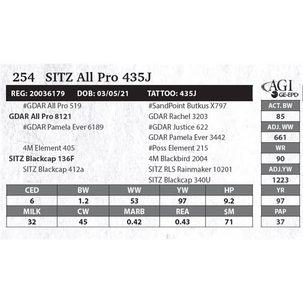 Sitz All Pro 435J