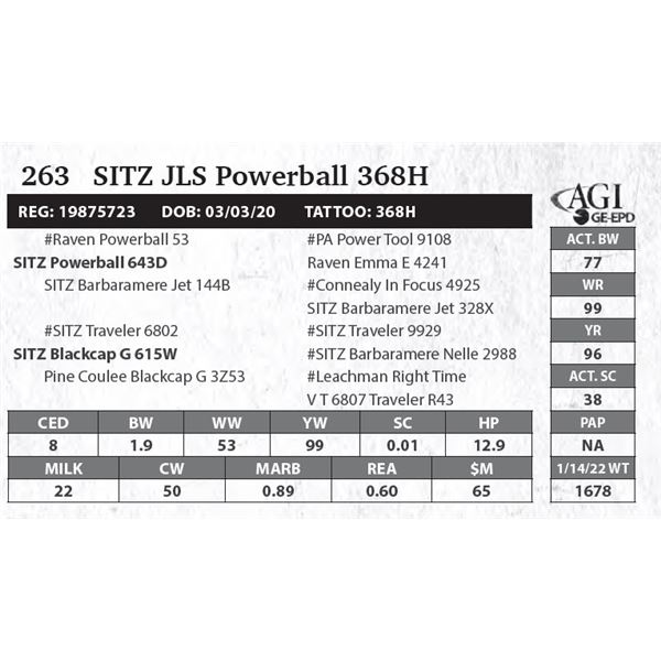 Sitz JLS Powerball 368H