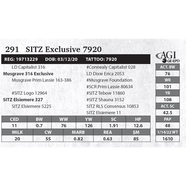 Sitz Exclusive 7920