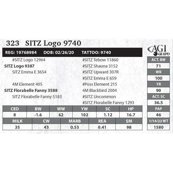 Sitz Logo 9740