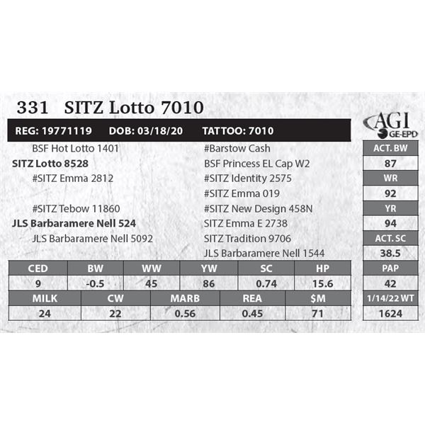 Sitz Lotto 7010