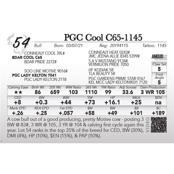 PGC Cool C65-1145