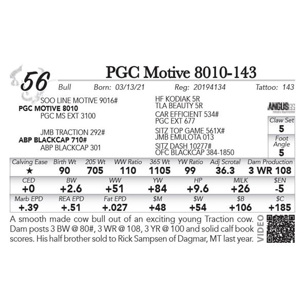 PGC Motive 8010-143