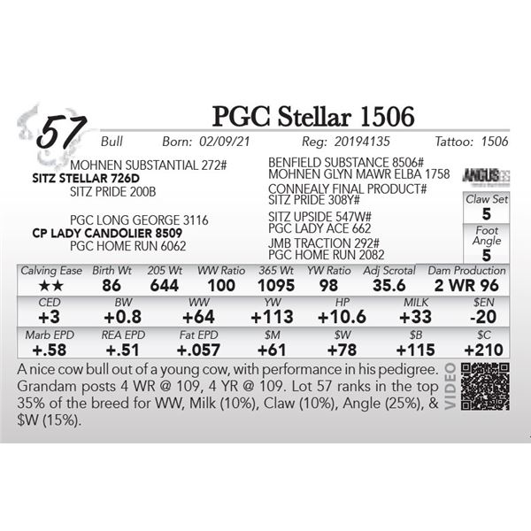 PGC Stellar 1506