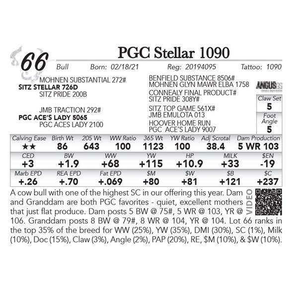 PGC Stellar 1090