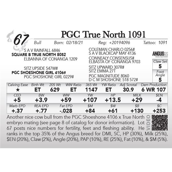 PGC True North 1091