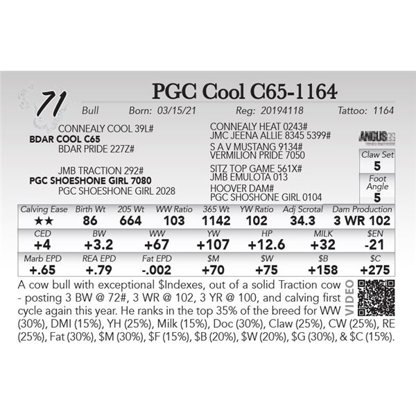 PGC Cool C65-1164