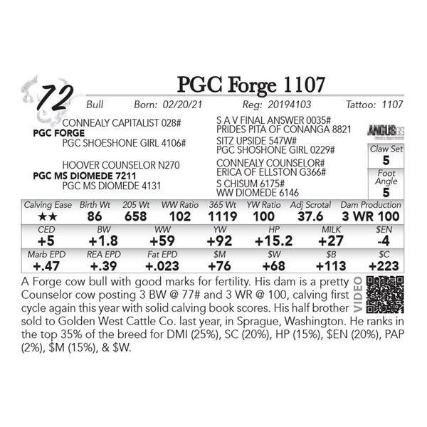 PGC Forge 1107