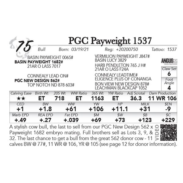 PGC Payweight 1537