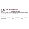 Image 1 : 180 ANGUS HEIFERS