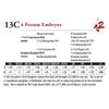 13C