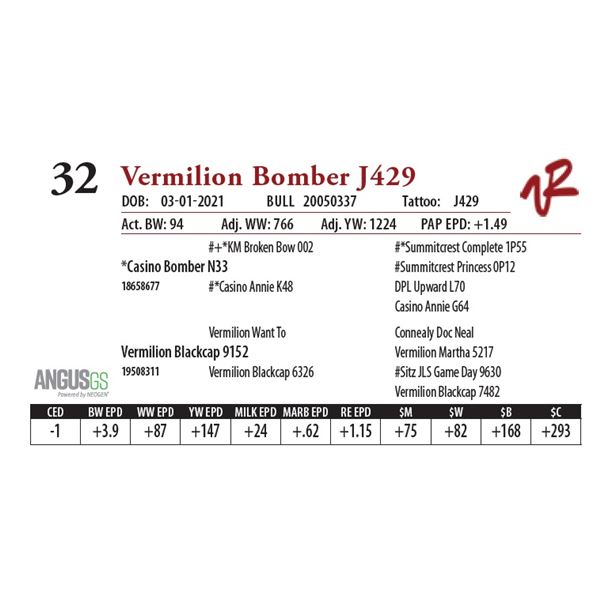 VERMILION BOMBER J429