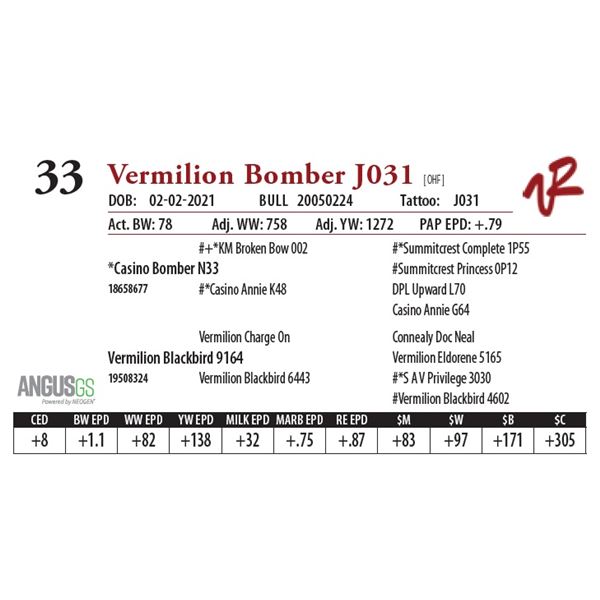 VERMILION BOMBER J031