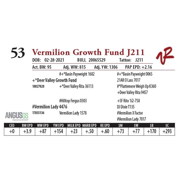 VERMILION GROWTH FUND J211