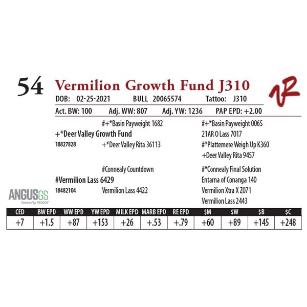 VERMILION GROWTH FUND J310