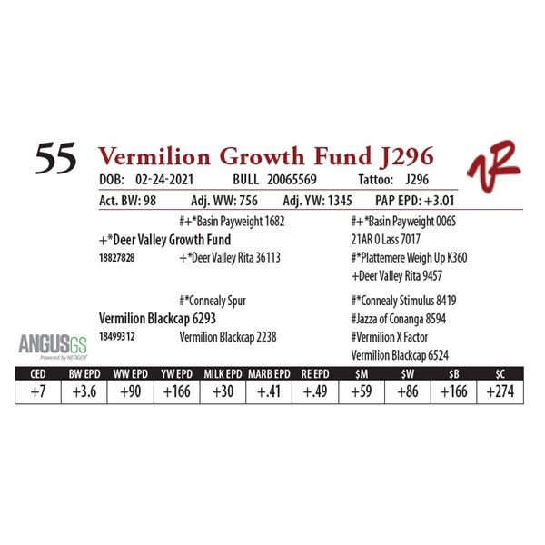 VERMILION GROWTH FUND J296