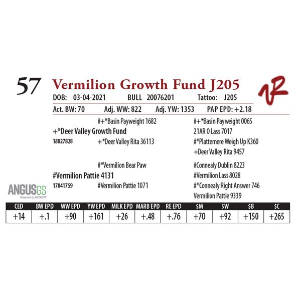 VERMILION GROWTH FUND J205