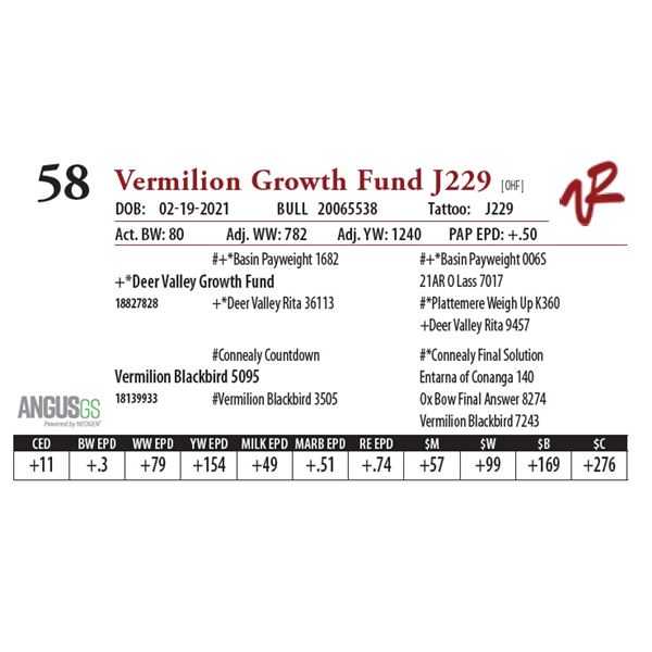 VERMILION GROWTH FUND J229