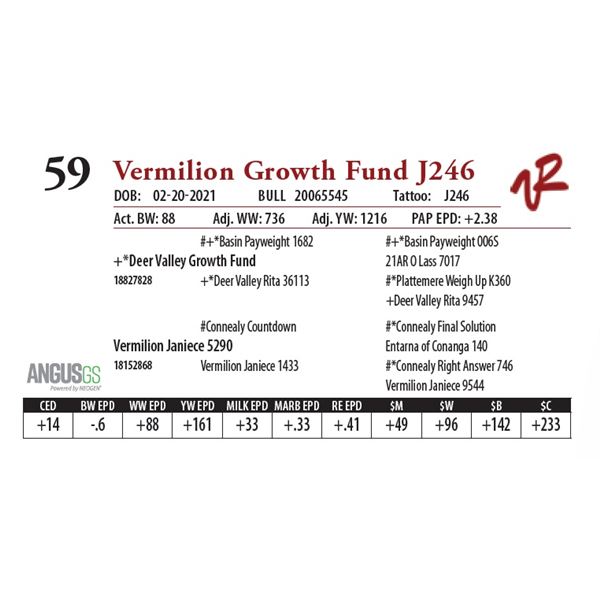 VERMILION GROWTH FUND J246