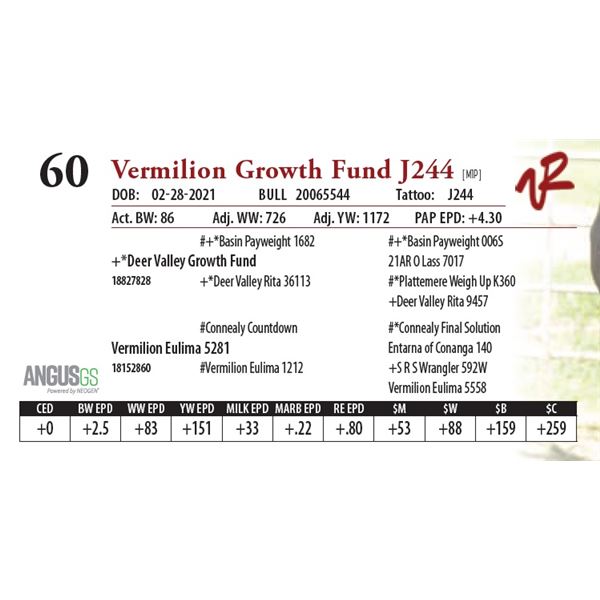 VERMILION GROWTH FUND J244