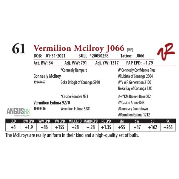 VERMILION MCILROY J066