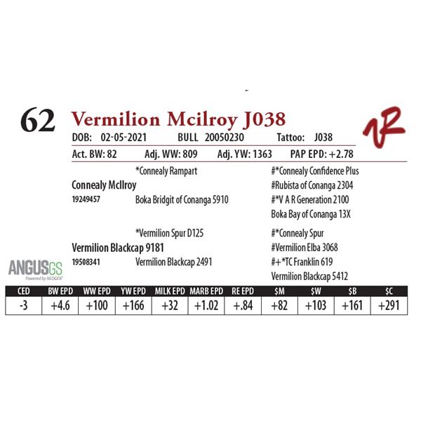 VERMILION MCILROY J038