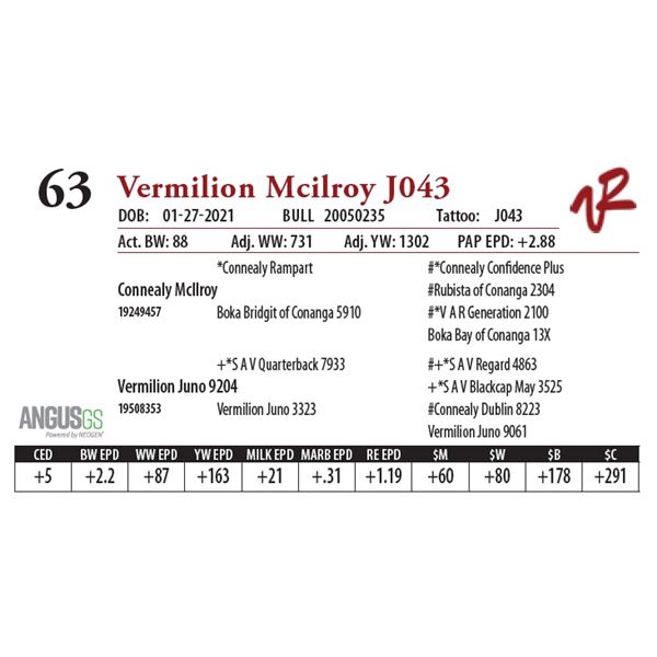 VERMILION MCILROY J043