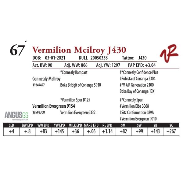 VERMILION MCILROY J430