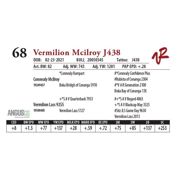 VERMILION MCILROY J438