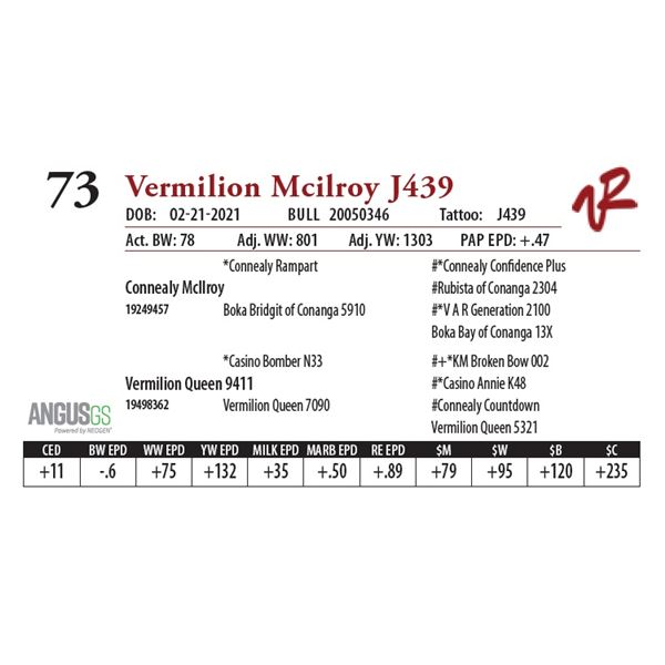 VERMILION MCILROY J439