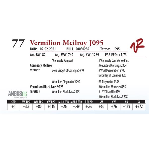 VERMILION MCILROY J095